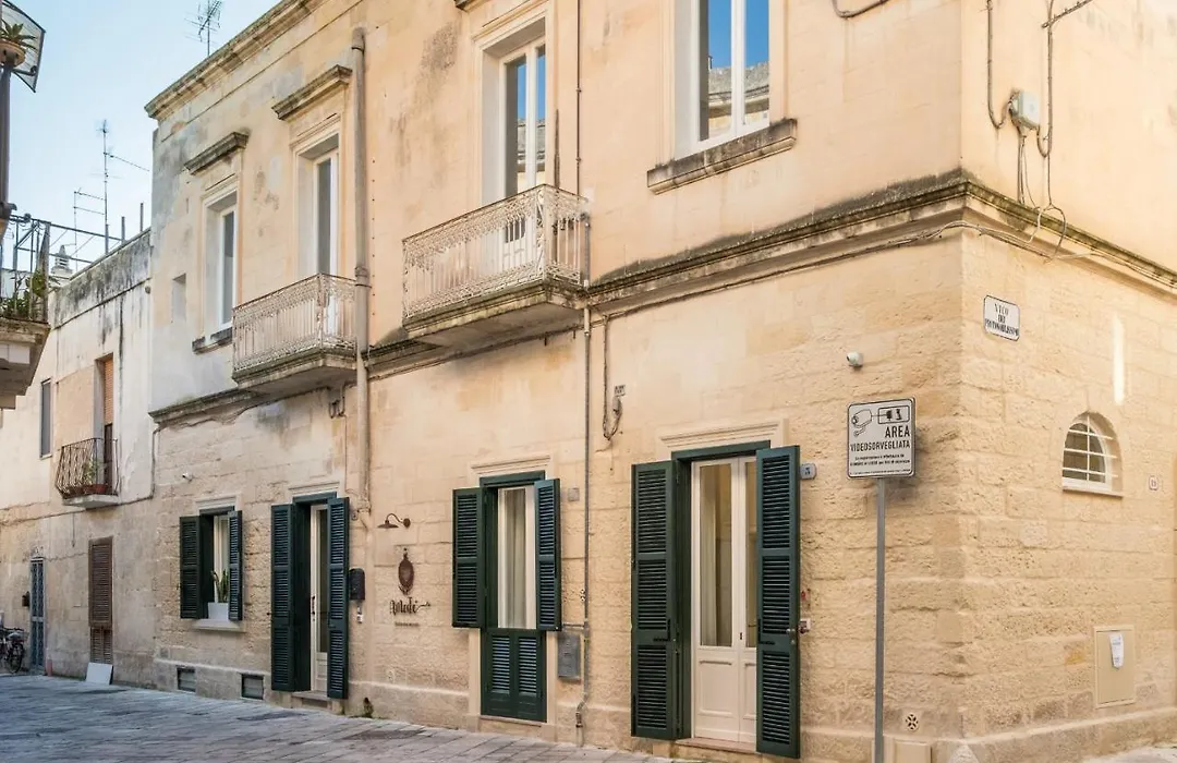 Amate Suite-1