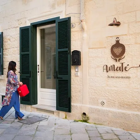 Amate Suite-2